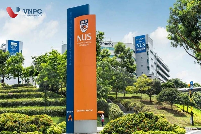  trường 77King 78 trò chơi hấp dẫn ở Singapore